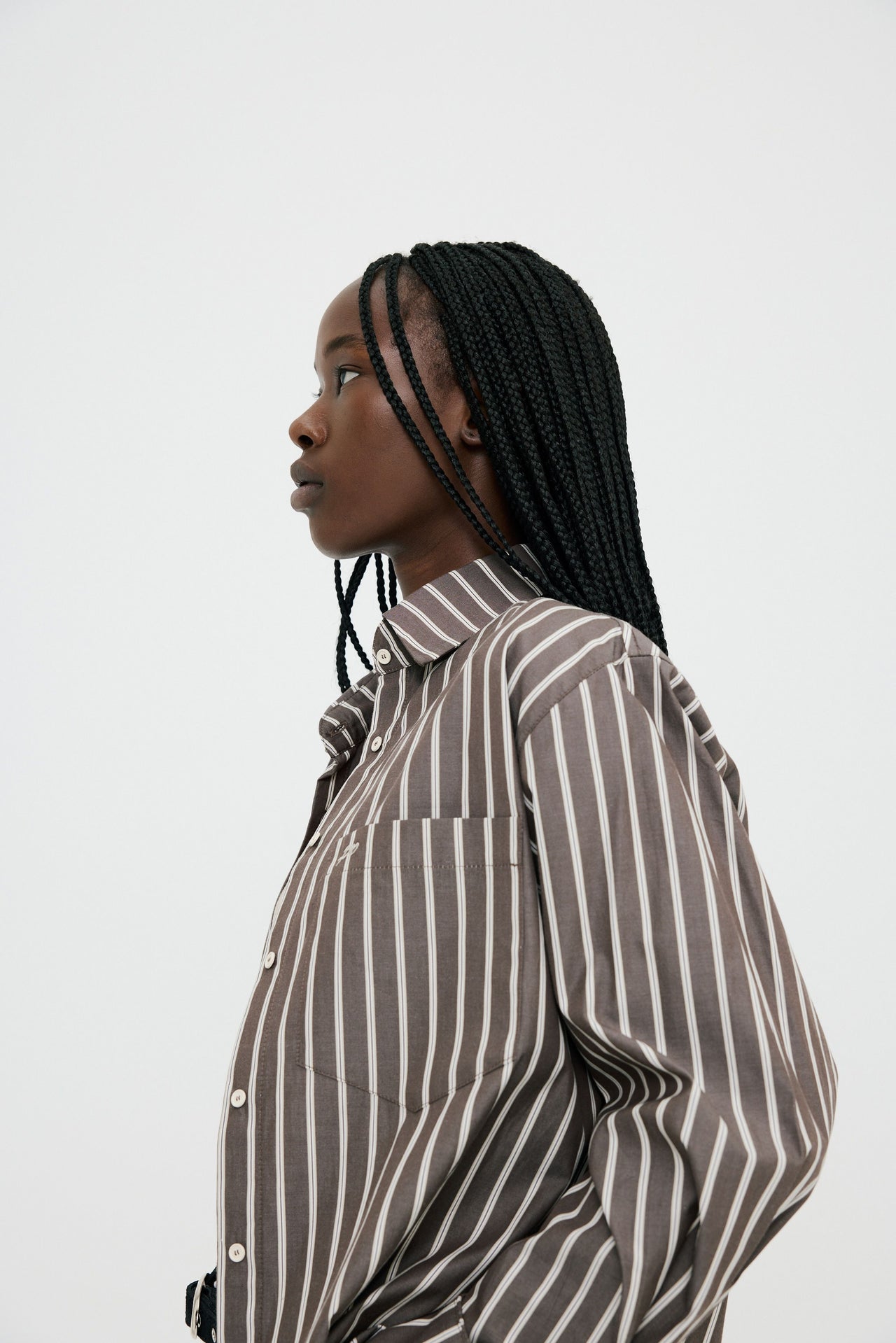 Examine Shirt | Umber Stripe